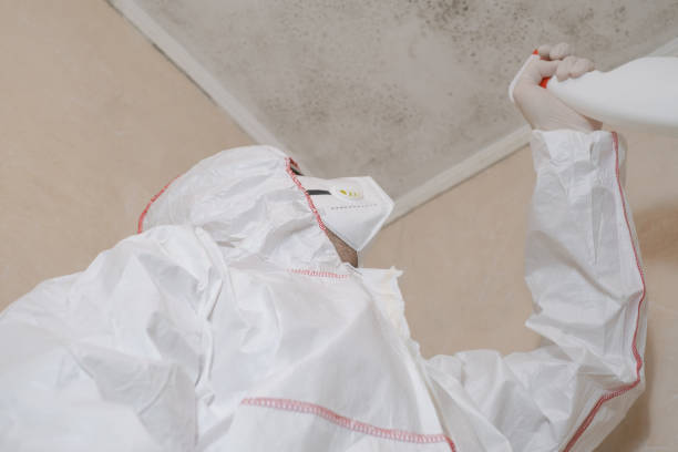 Best Residential Mold Remediation in Center Hill, FL